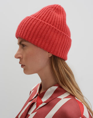 40033 cosmic coral;17