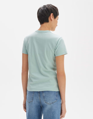 30005 aloe green;30