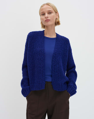 60038 electric blue;2