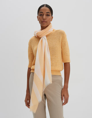 50008 frozen mango;3