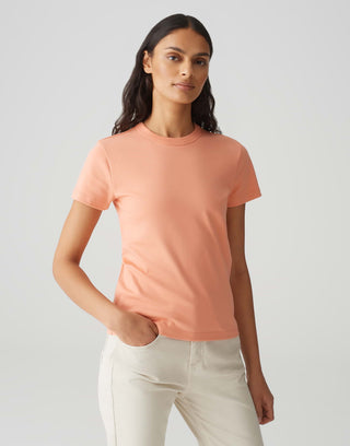 40013 pale orange;39