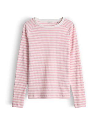 40042 coral blush;4