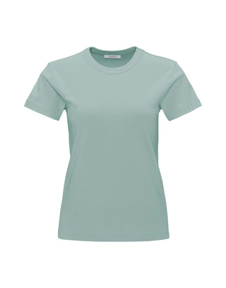 30005 aloe green;28