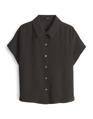 20024 midnight brown;1