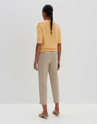 50008 frozen mango;6