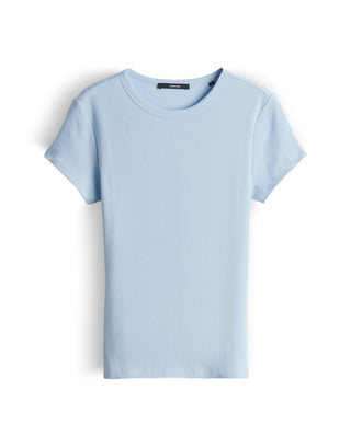 60039 summer breeze;4