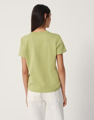 30003 green seed;10