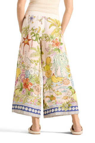 905 colourfull indian jungle;4
