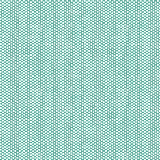 620 light green oxford;11