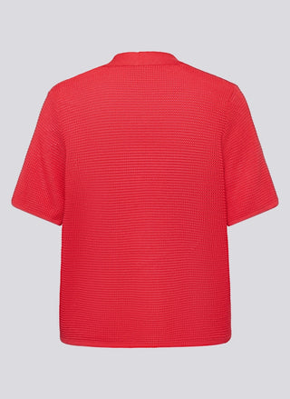 6280 Koralle;8