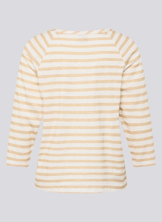 6642 Cappuccino;8