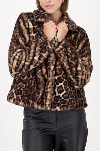 522 brownie gemustert;6