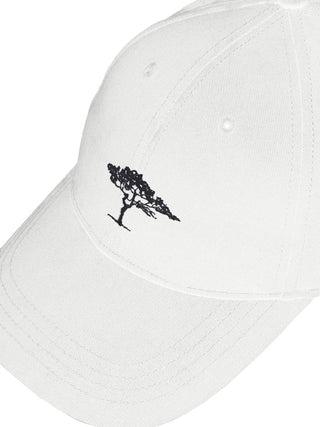 804 white;6