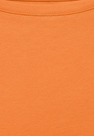 13586 simply orange;4