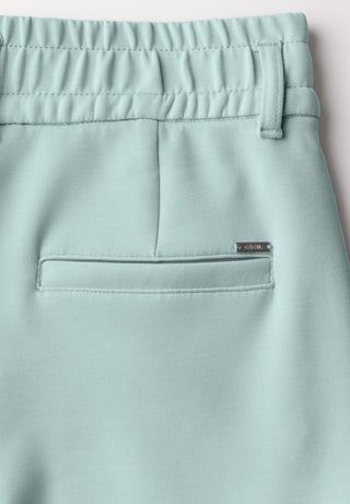 16560 cool salvia green;2