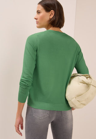 16832 fennel green;4