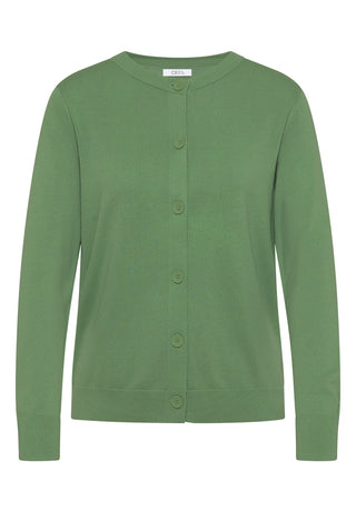 16832 fennel green;1