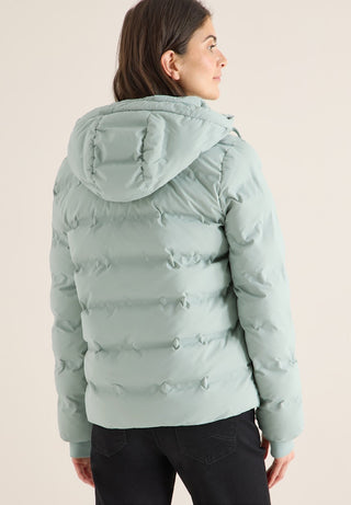 16711 smoke salvia;11