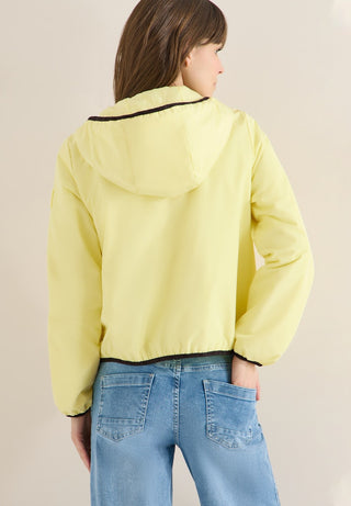 17374 iced yellow;17