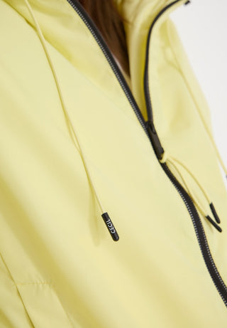 17374 iced yellow;19