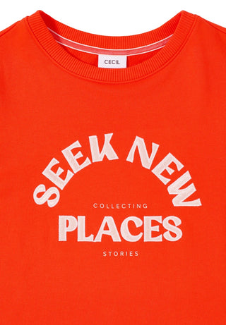 27395 cherry tomato orange;2