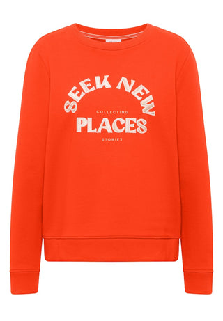 27395 cherry tomato orange;1