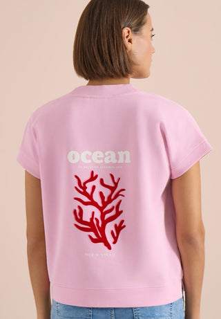 37600 light blush rose;11