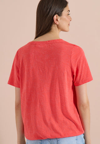 37762 coral;4