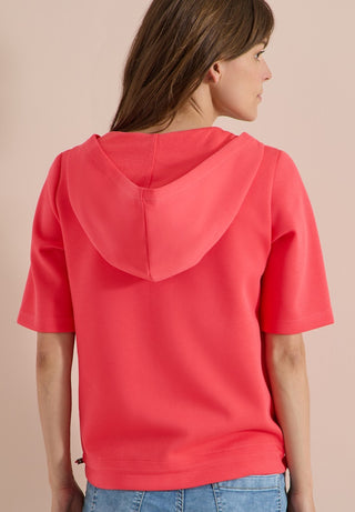 17762 coral;4