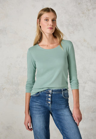 16259 glaced salvia green;33