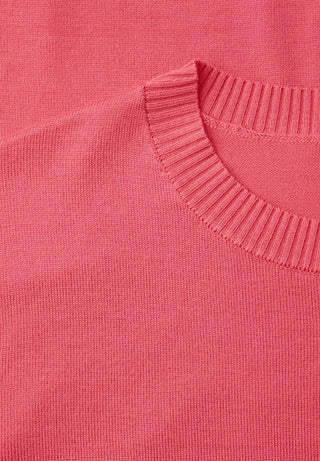 17261 striking coral;2