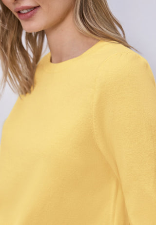 17455 bloom yellow;6