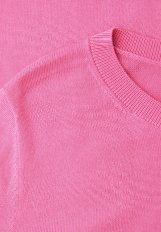 17503 ibis rose;8