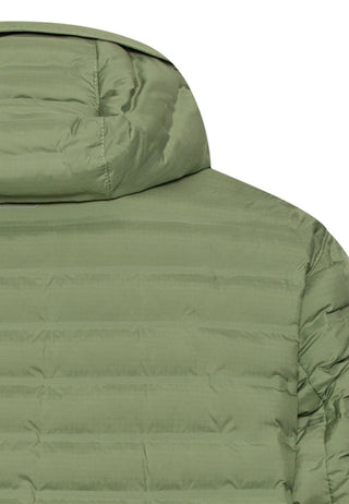 30 Leaf Green;4