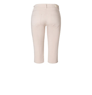 208R ivory PPT;2