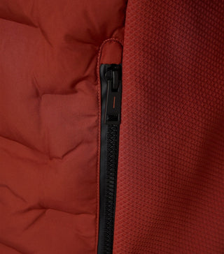 491 491 orange;8