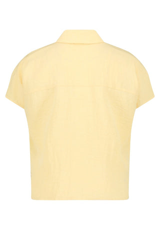 2004 Golden Haze;2