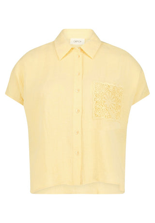 2004 Golden Haze;1