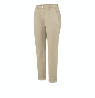 257R golden terra PPT;52