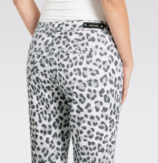 054L silver shadow leo;22