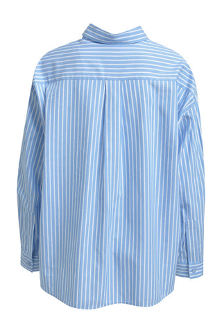 1624 CORNFLOWER PRINT;2