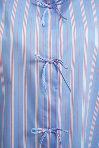 1624 CORNFLOWER PRINT;4