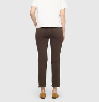 290R deep brown PPT;2