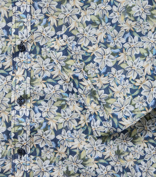 100 100 blau;2