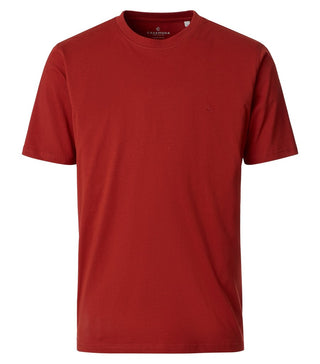 475 475 orange;240
