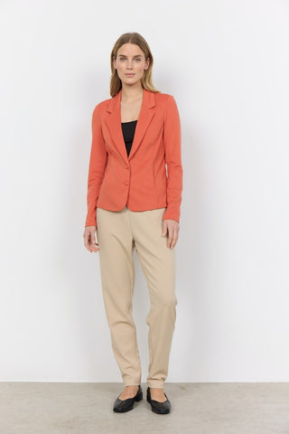 3800 3800 DUSTY CLAY;31