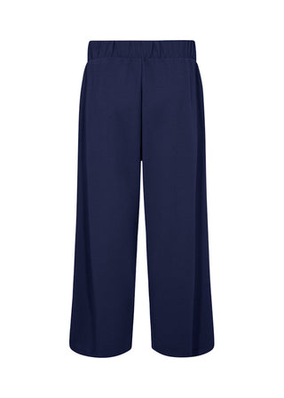 6799 6799 BLUE IRIS;34