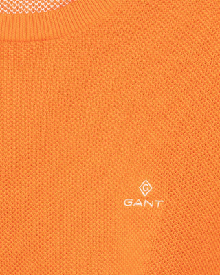 804 PERSIMMON ORGANE;7