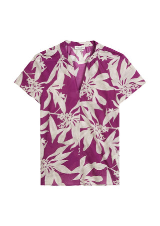 H20 multi/fresh berry;1