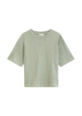3353 Fresh Sage;1
